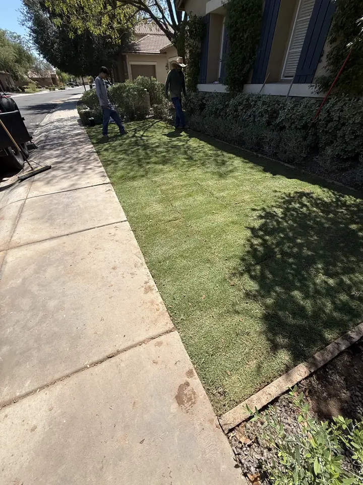 After: the same front yard strip finished in artificial turf