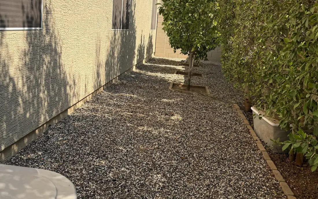 Side yard finished in desert rock along the house, with a tree and a hedge